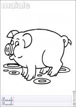 coloriage-cochon-1